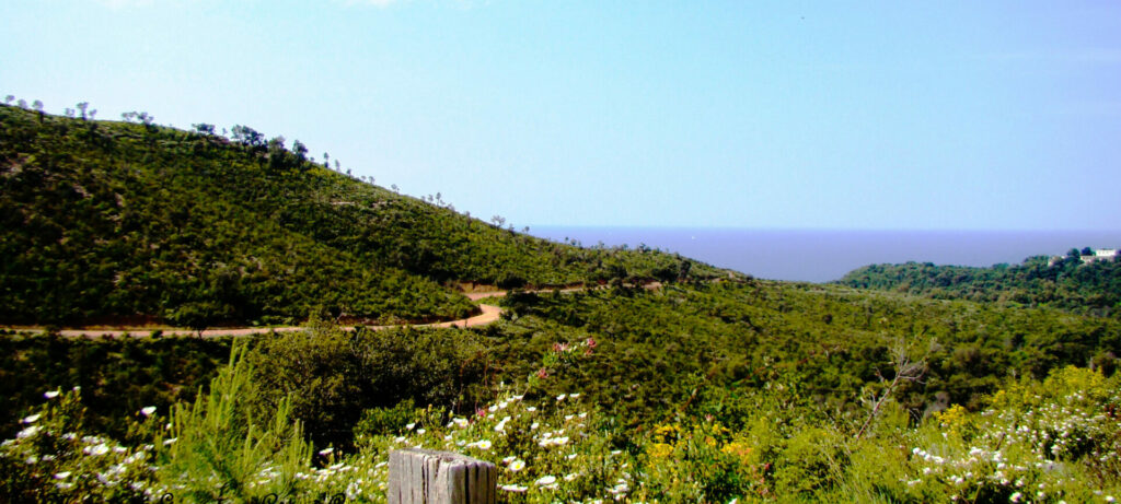 promenade colline colle noire