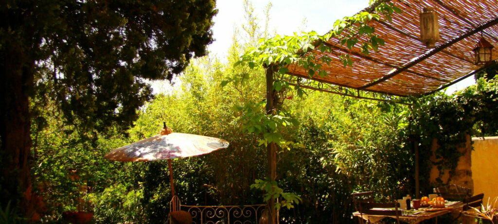 parasol en canisse jardin