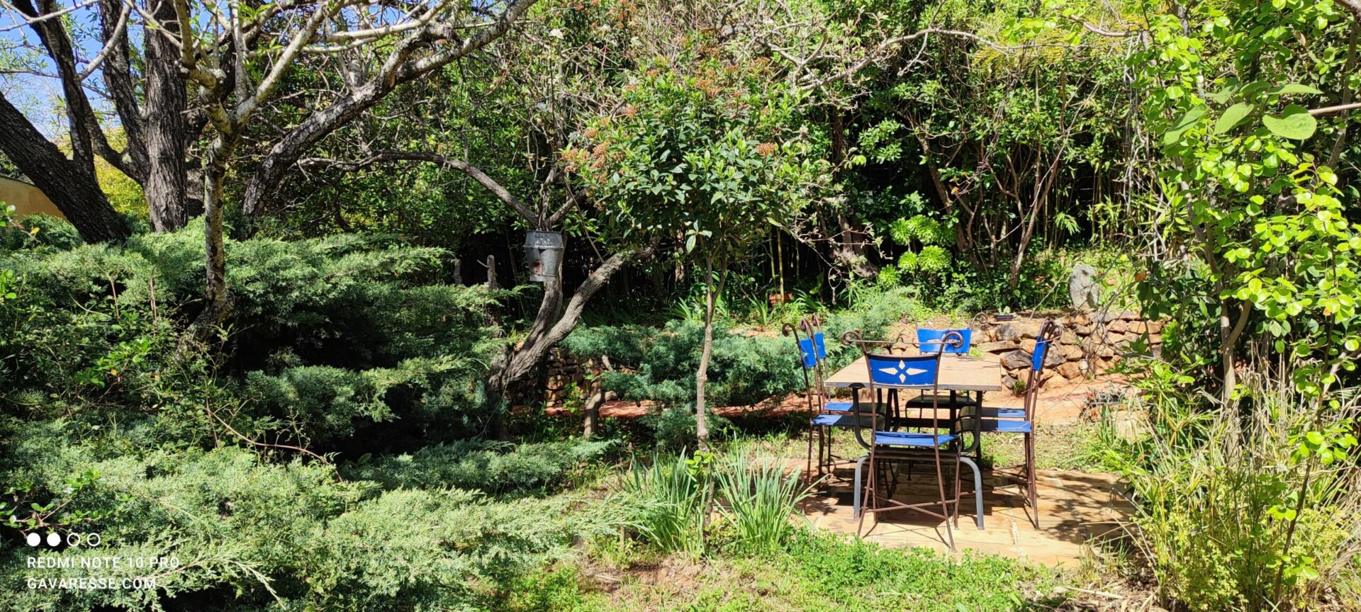 Table à manger extérieure couverte par une pergola végétale, jardin luxuriant, Mas de la Gavaresse, Le Pradet.