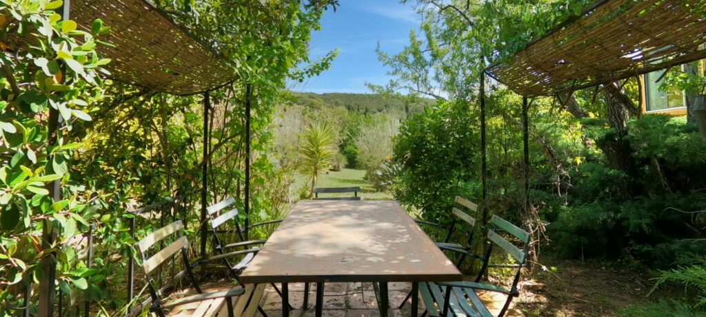 terrasse ensoleillée orangeraie