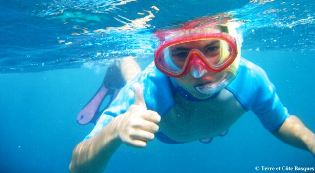 snorkeling les oursiniéres