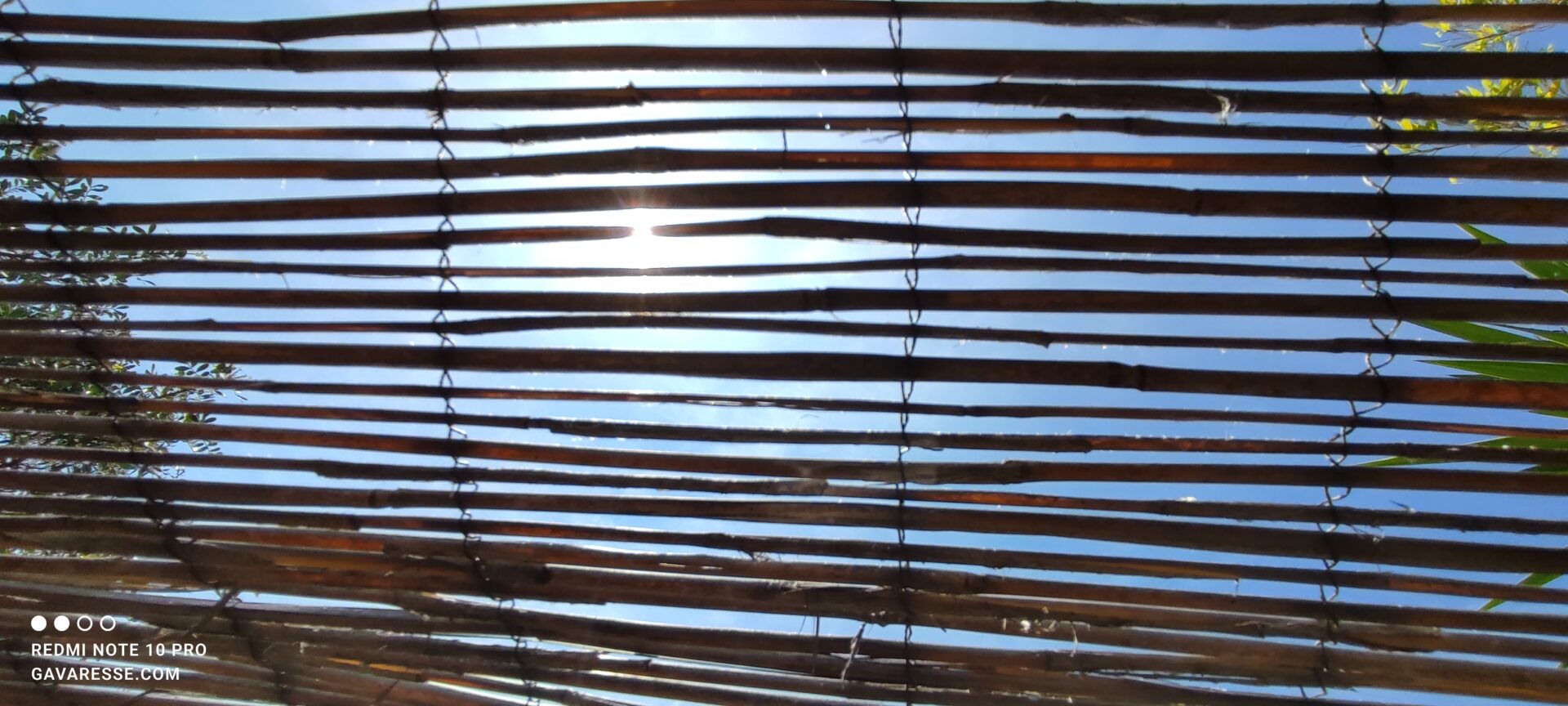 Vue de dessous des canisses de la terrasse du gîte La Fenière, offrant une ombre agréable, Le Pradet.