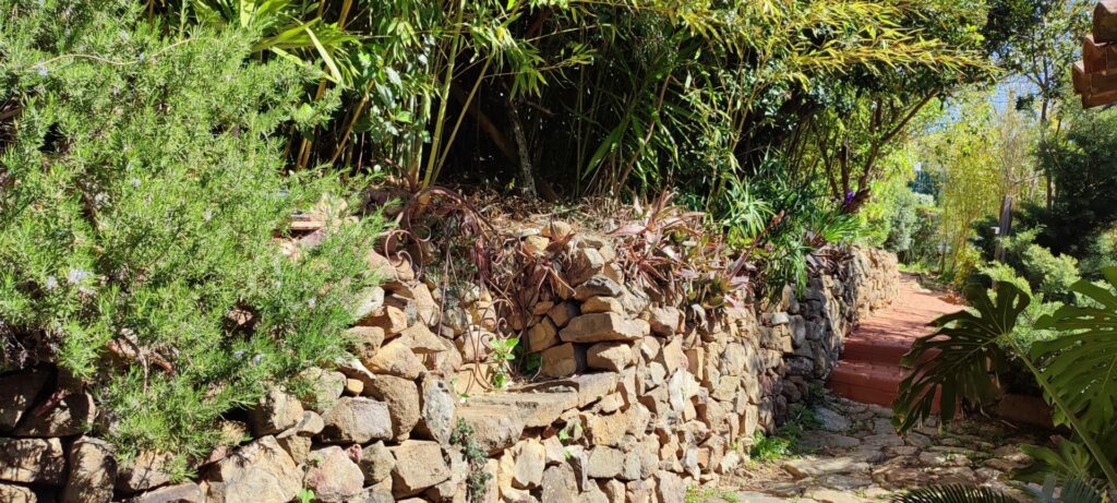 Chemin d'accès en terre et graviers du gîte L'Orangeraie bordé par un mur de restanque en pierre sèche et végétation luxuriante, Le Pradet, Var.