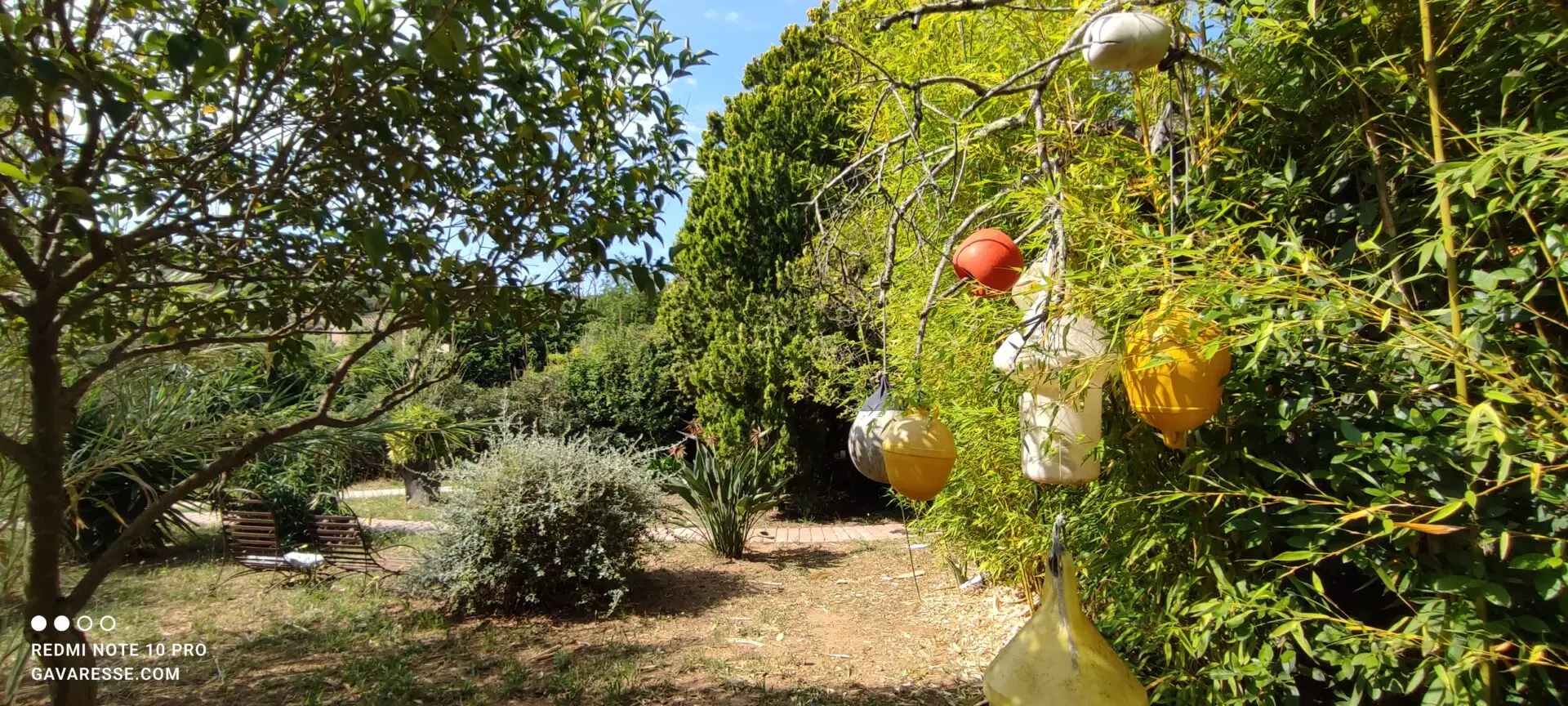 Bouées de signalisation côtière recyclées décorant un vieux noisetier dans le jardin du Mas de la Gavaresse, esprit marin et décoration unique, Le Pradet.