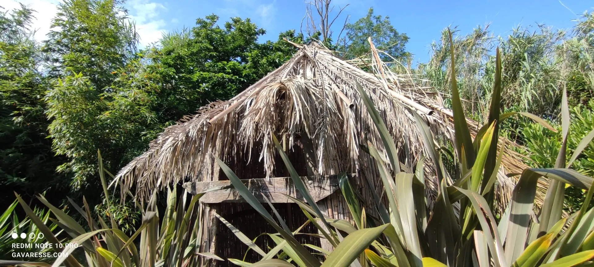 Entrée d'une cabane d'enfant en roseaux et palmes, encadrée par deux grands phormiums pour créer un effet "jungle", dans le jardin du Mas de la Gavaresse.