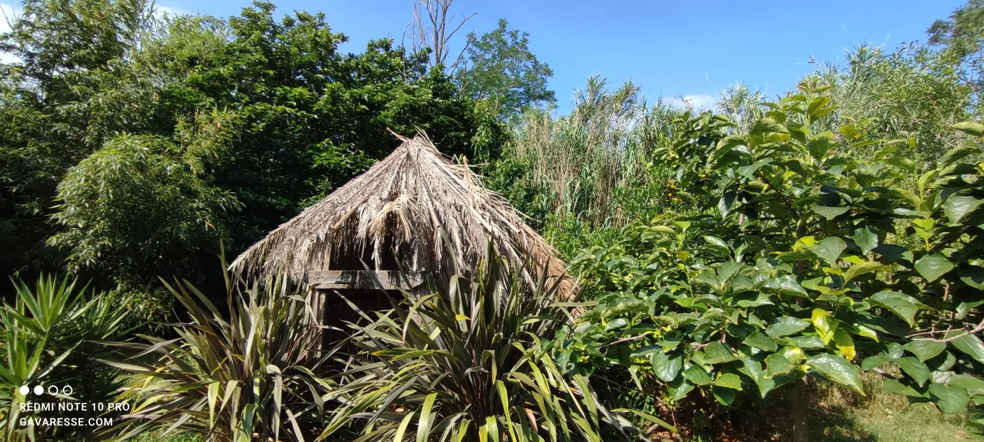 Cabane d'enfant rustique recouverte de roseaux et palmes, décorée d'une pancarte "Le Mas de la Gavaresse" sur un vieux bois de tonneau, dans le jardin du gîte.