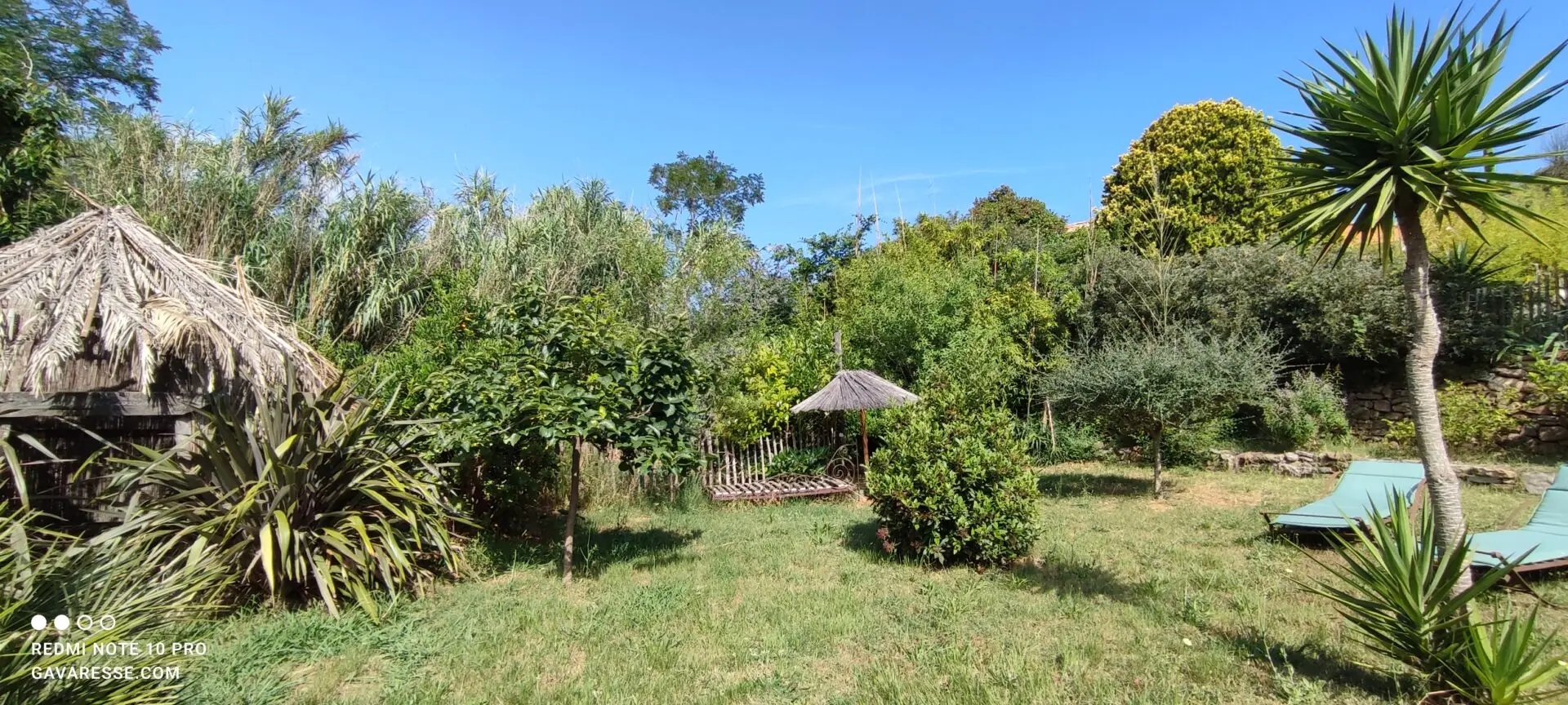 Jardin du bas avec mur en pierre sèche (restanque), végétation méditerranéenne luxuriante et variée, symbolisant la passion botanique et l'éco-responsabilité au Mas de la Gavaresse.