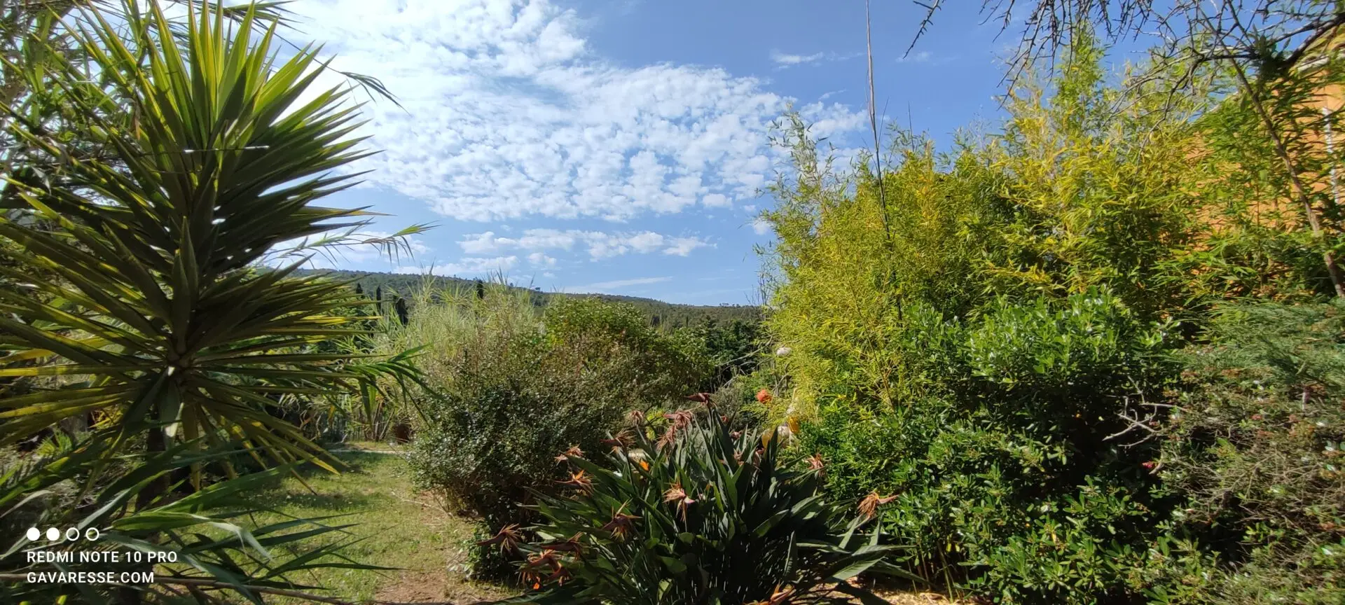 Vue panoramique depuis le jardin du haut du Mas de la Gavaresse sur le massif de la Colle Noire et le domaine maritime du Parc National de Port-Cros, chemins de randonnée côtiers.